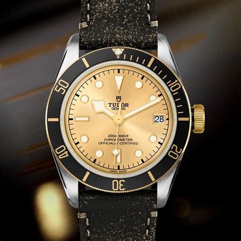 tudor steel end gold opinioni 2018|Tudor Heritage Black Bay S&G Steel.